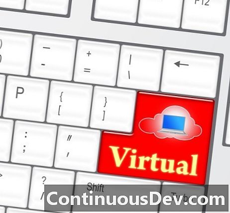 Isang Mahalagang Tanong sa Virtualization ng Enterprise: Ano ang Virtualize?