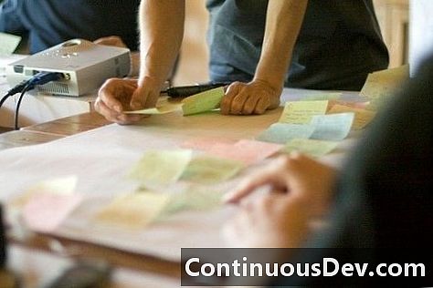 Agile Software Development 101