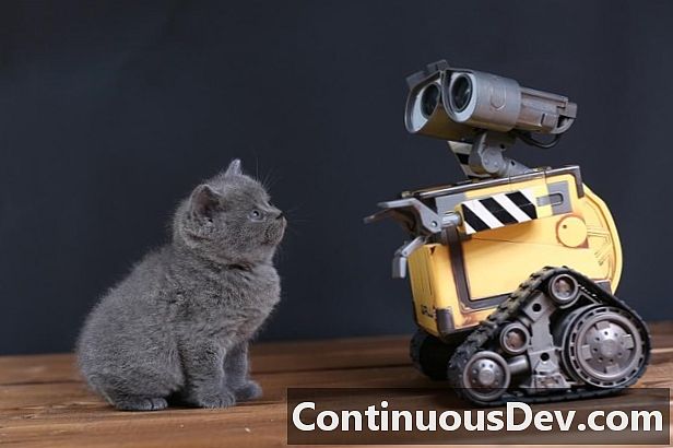 AI และ Cats: เรื่องราวความรักที่ยอดเยี่ยมในยุคดิจิตอล