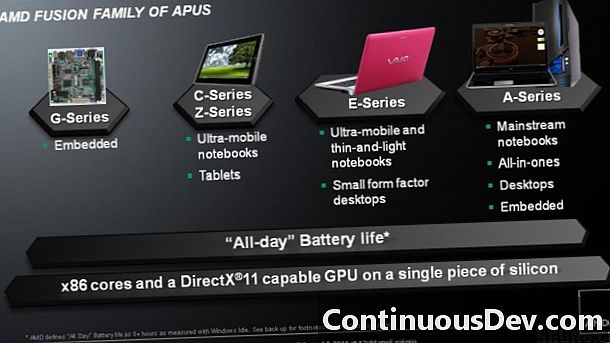 AMD Füzyon