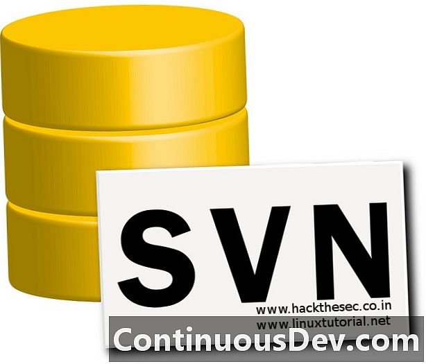 SVN (Apache Subversion)
