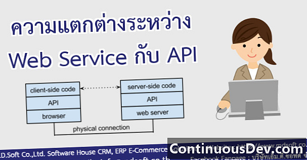 ממשק תכנות יישומים (API)