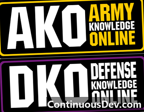 معرفة الجيش على الإنترنت (AKO)