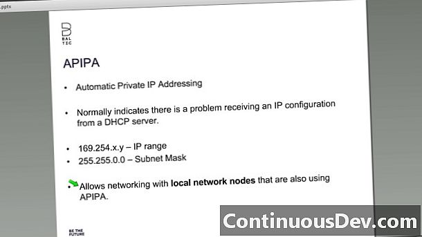 Otomatik Özel IP Adresleme (APIPA)