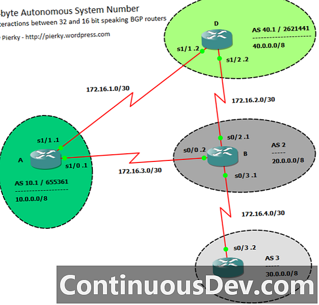 Autonomt systemnummer (ASN)