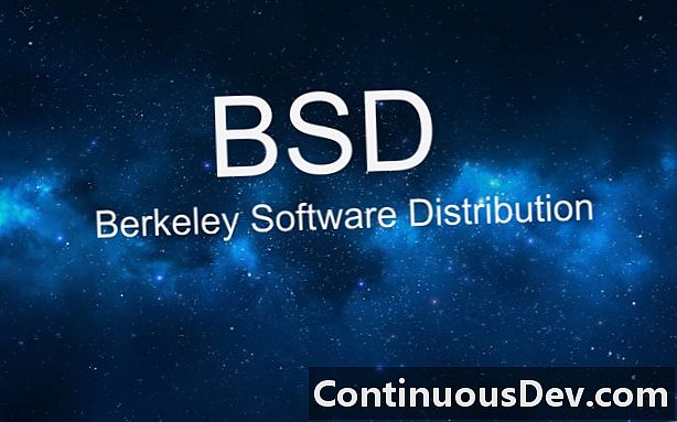 Berkeley Software Distribution (BSD)