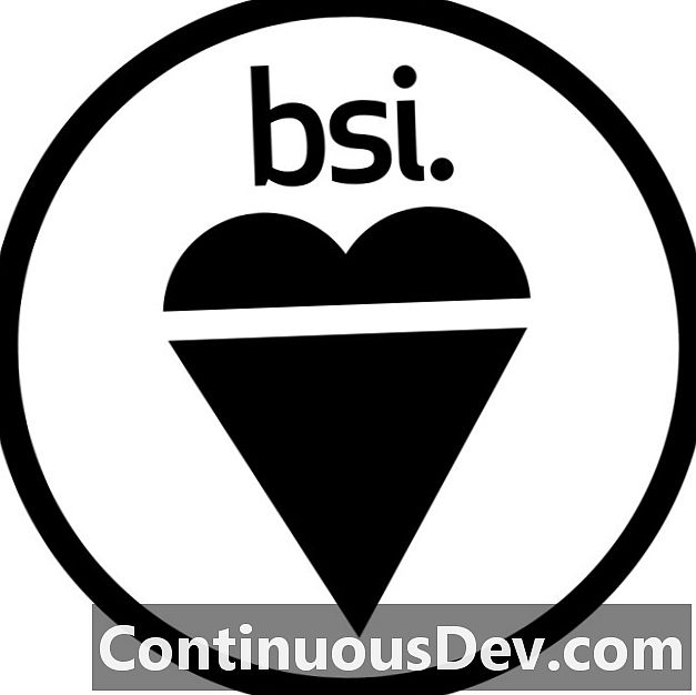 Britanska institucija za standarde (BSI)