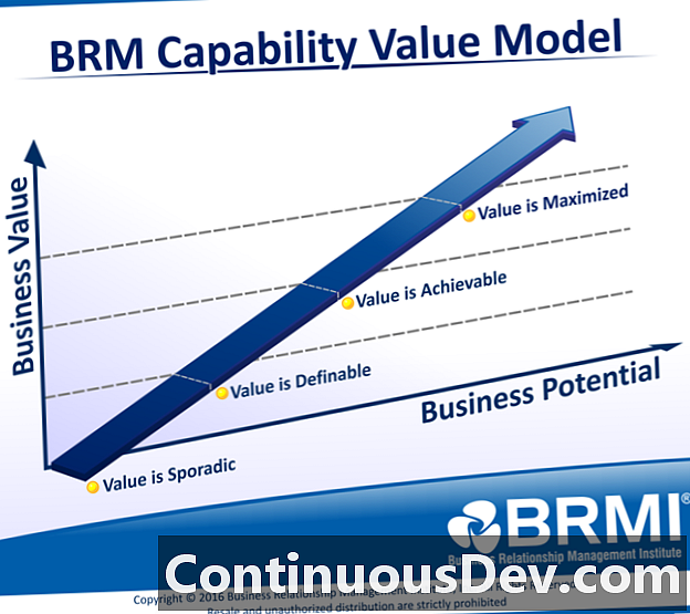Managementul relațiilor de afaceri (BRM)