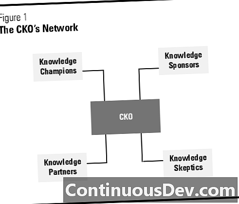 Vedoucí znalostí (CKO)