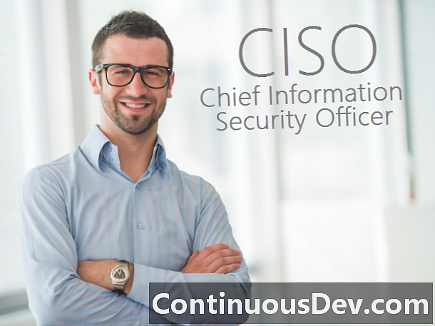 Bilgi Güvenliği Şefi (CISO)