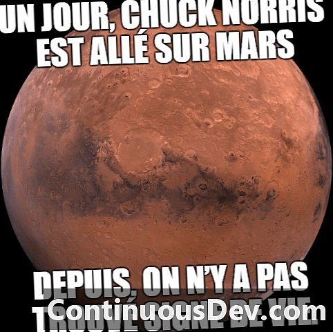 Chuck Norris Fakten