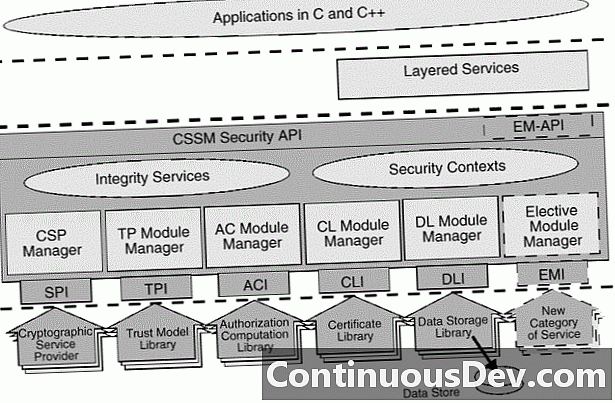 Общая архитектура безопасности данных (CDSA)