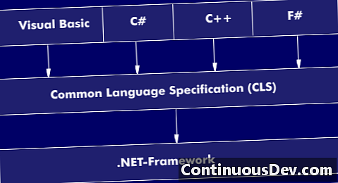 Common Language Specification (CLS)