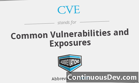 Vulnerabilități și expuneri comune (CVE)