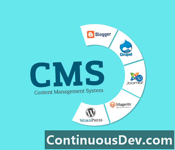 نظام إدارة المحتوى (CMS)