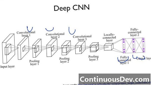 الشبكة العصبية التلافيفية (CNN)