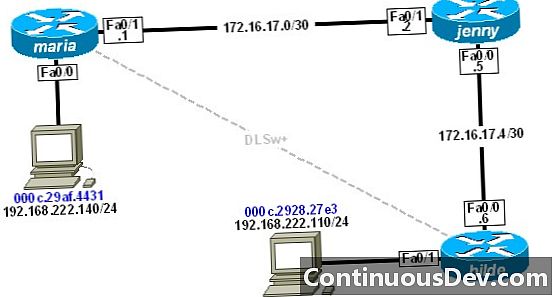 Datenverbindungsvermittlung (DLSw)