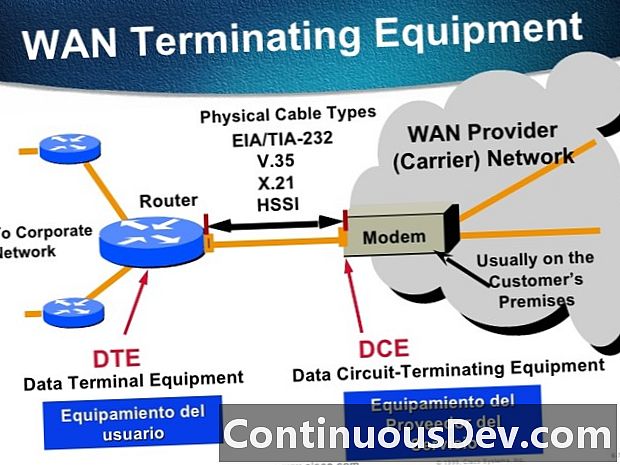 Data Terminal Equipment (DTE)