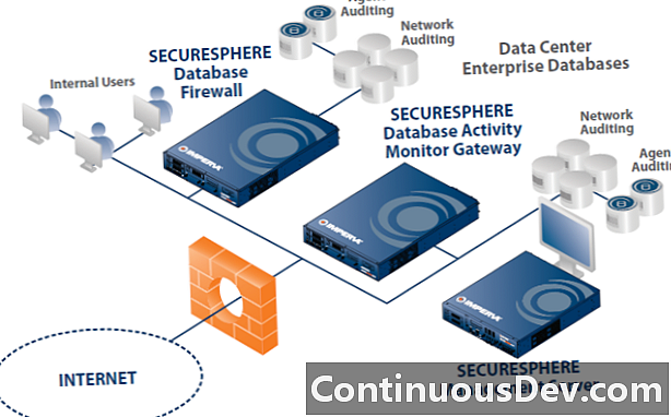 Database Activity Monitoring (DAM)