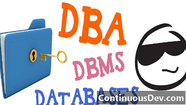 데이터베이스 관리자 (DBA)