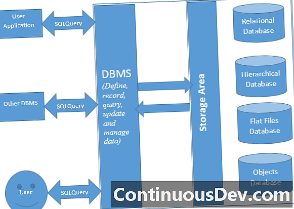 Datu bāzes pārvaldības sistēma (DBVS)
