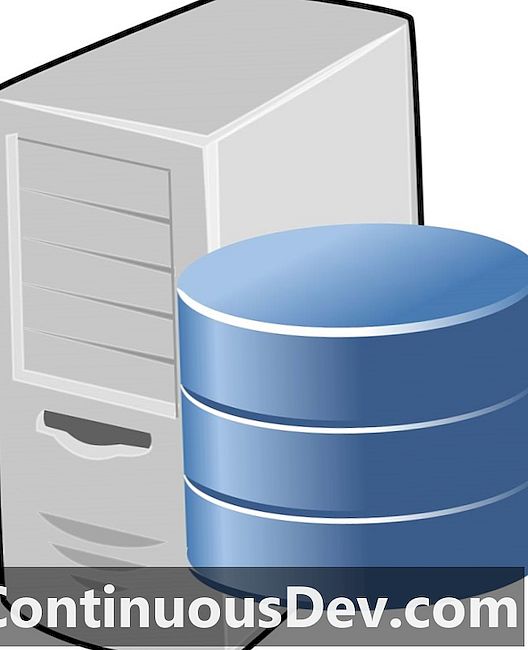 Server database