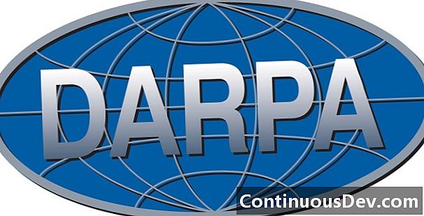Defence Advanced Research Projects Agency (DARPA)