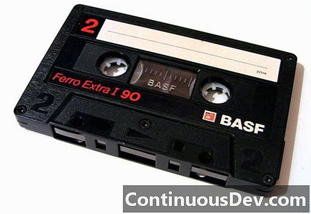 Digital Audio Tape (DAT)