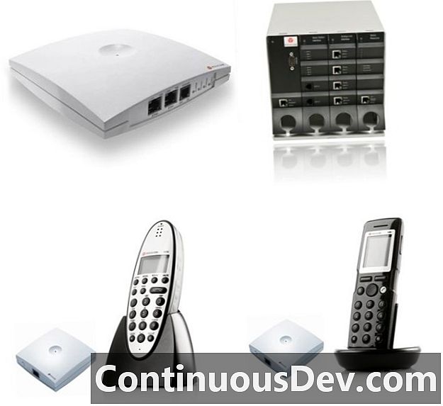 Digital Enhanced Cordless Telecommunications (DECT)