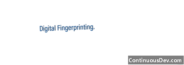 Digitales Fingerprinting