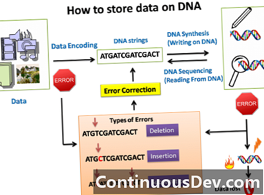 DNA digitale gegevensopslag
