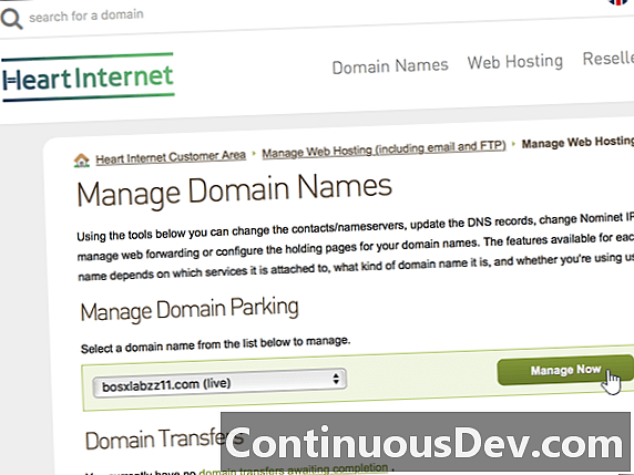Система за паркиране на домейни (DNS Parking)