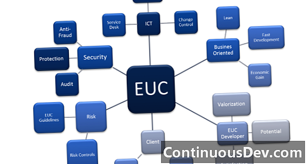 最终用户计算（EUC）