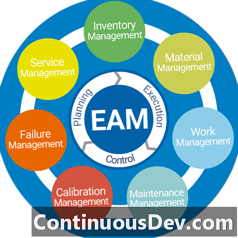 Uzņēmuma aktīvu pārvaldīšana (EAM)