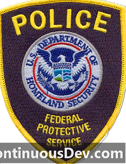 Federálna ochranná služba (FPS)