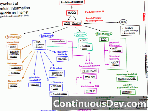 vývojový diagram