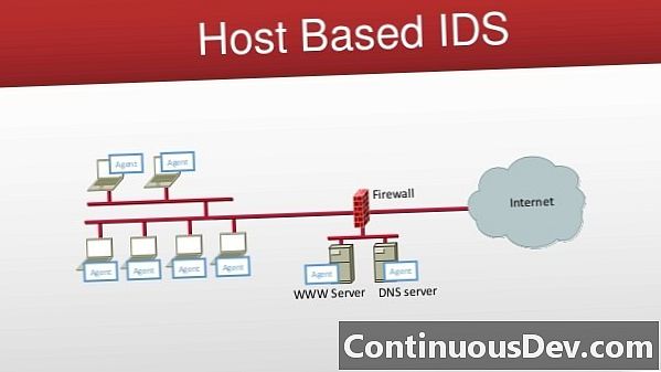 Sistem Deteksi Intrusi Berbasis Host (HIDS)