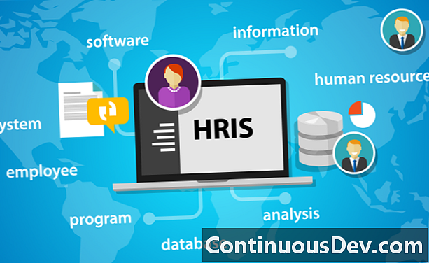 Informační systém lidských zdrojů (HRIS)