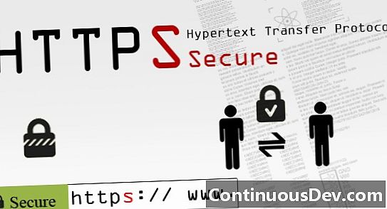 Zabezpečený protokol Hypertext Transport Protocol (HTTPS)