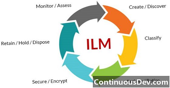 정보 수명주기 관리 (ILM)