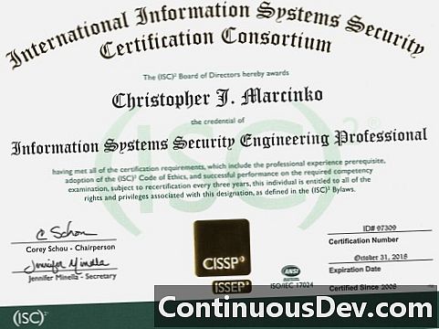 Informācijas sistēmu drošības inženierijas profesionālis (ISSEP)