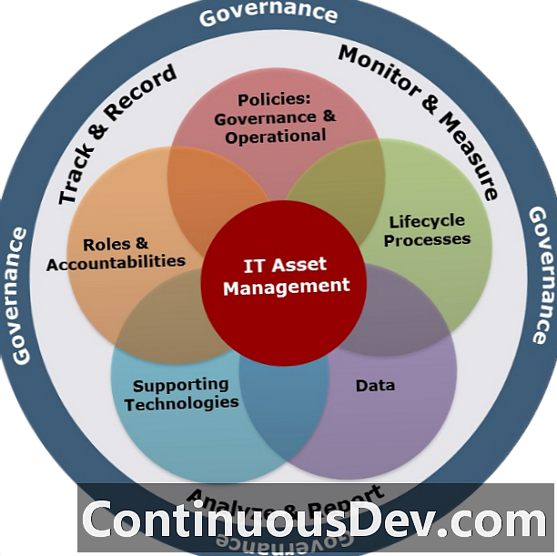 Information Technology Asset Management (ITAM)