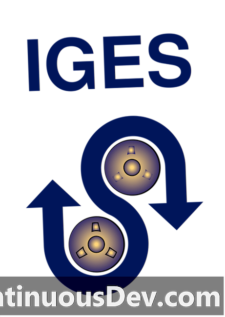 Specificația inițială a schimbului de grafice (IGES)