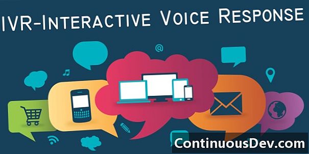 Interactive Voice Response (IVR)