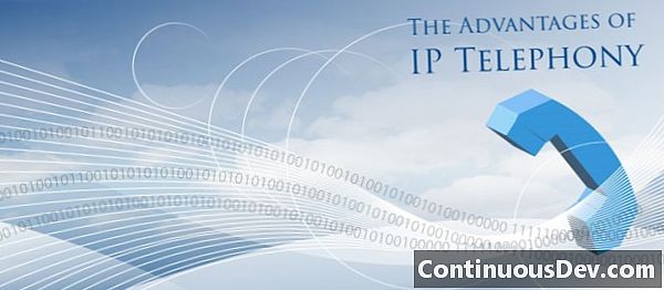 Internet Protocol Telephony (IP telefonie)