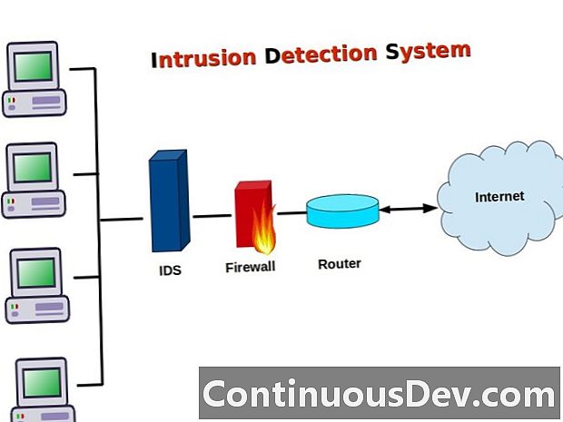 Système de détection d'intrusion (IDS)