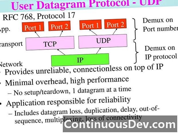 Lightweight User Datagram Protocol (UDP Lite)