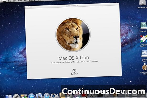 Mac OS X Λιοντάρι