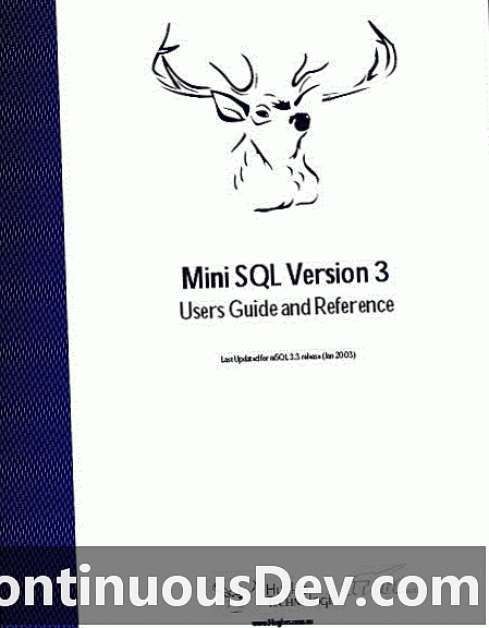 미니 SQL (mSQL)