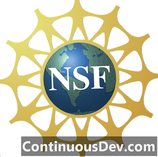 Nacionalna zaklada za znanost (NSF)